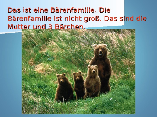 Das ist eine Bärenfamilie. Die Bärenfamilie ist nicht groß. Das sind die Mutter und 3 Bärchen .
