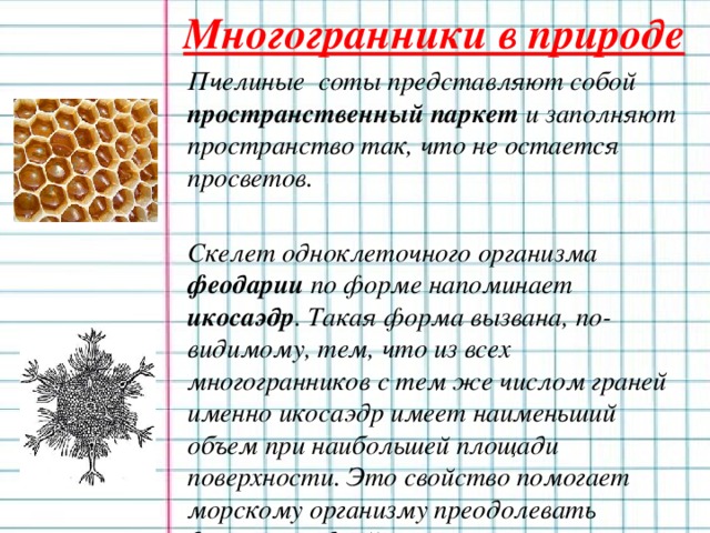 Многогранники в природе  Пчелиные соты представляют собой пространственный паркет и заполняют пространство так, что не остается просветов.   Скелет одноклеточного организма феодарии по форме напоминает икосаэдр . Такая форма вызвана, по-видимому, тем, что из всех многогранников с тем же числом граней именно икосаэдр имеет наименьший объем при наибольшей площади поверхности. Это свойство помогает морскому организму преодолевать давление водной толщи.