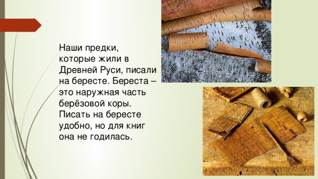Наши предки, которые жили в Древней Руси, писали на бересте. Береста – это наружная часть берёзовой коры. Писать на бересте удобно, но для книг она не годилась.