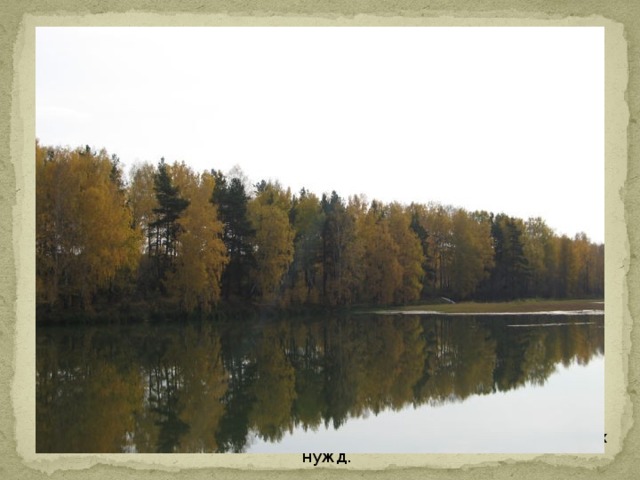 На территории имеются искусственные водоемы-пруды: Дружининский, Первомайский. Дружининский пруд был построен для нужд железной дороги, Первомайский пруд для нужд сельского хозяйства (мелиорации). Они также служат источниками воды для хозяйственных и бытовых нужд.