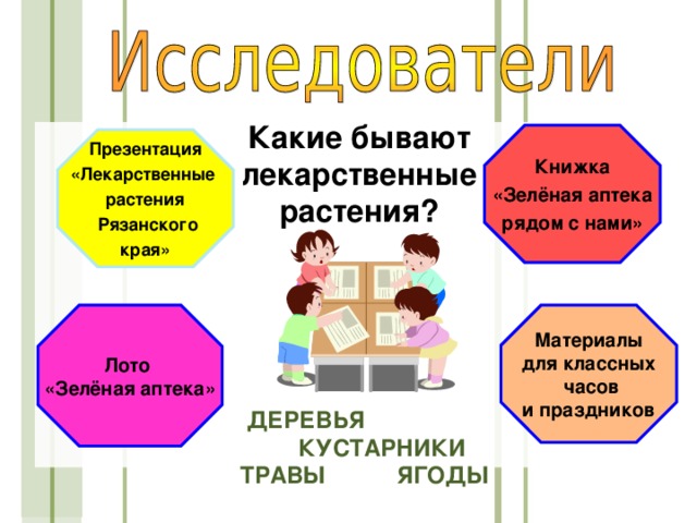 Какие бывают лекарственные растения? Книжка «Зелёная аптека рядом с нами» Презентация «Лекарственные растения  Рязанского края» Лото «Зелёная аптека» Материалы для классных  часов и праздников  ДЕРЕВЬЯ  КУСТАРНИКИ ТРАВЫ ЯГОДЫ