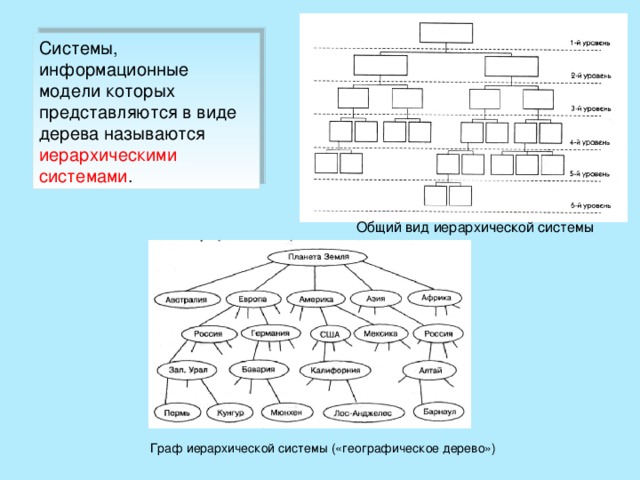 Системы, информационные модели которых представляются в виде дерева называются иерархическими системами . Общий вид иерархической системы Граф иерархической системы («географическое дерево»)