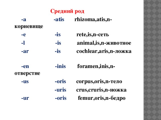 Средний род  -а -atis rhizoma,atis,n-корневище  -е -is rete,is,n-сеть  -l -is animal,is,n-животное  -аr -is cochlear,aris,n-ложка  -en -inis foramen,inis,n-отверстие  -us -oris corpus,oris,n-тело  -uris crus,cruris,n-ножка  -ur -oris femur,oris,n-бедро  