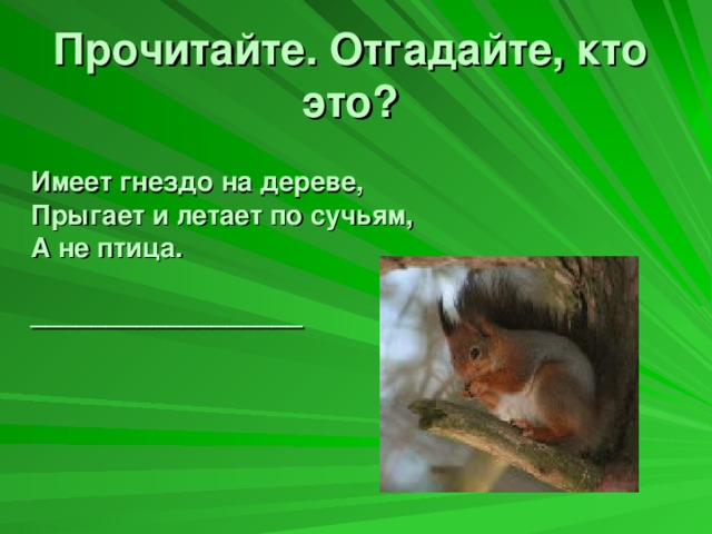 Прочитайте. Отгадайте, кто это?   Имеет гнездо на дереве, Прыгает и летает по сучьям, А не птица.  __________________ ?