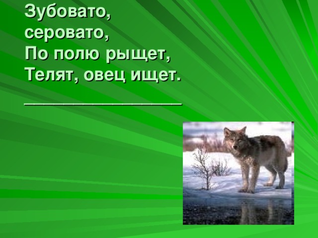 Зубовато, серовато, По полю рыщет, Телят, овец ищет. ________________  ?