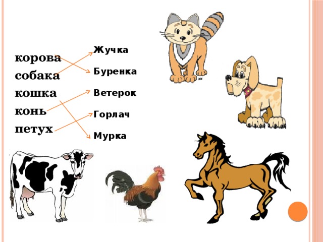 Коровы отвечают на вопрос. Клички домашних животных. Клички животных теленок. Корова и собака. Лошадь корова собака.