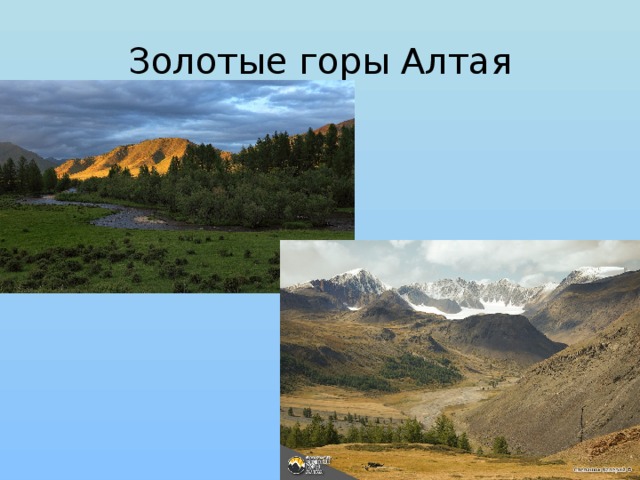 Золотые горы Алтая
