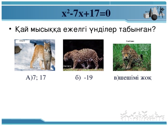 х 2 -7х+17=0 Қай мысыққа ежелгі үнділер табынған?  А)7; 17 б) -19 в)шешімі жоқ