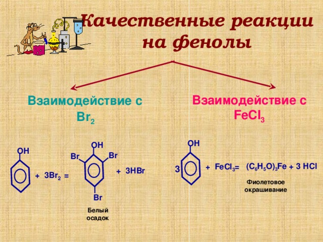 Качественные реакции на фенолы Взаимодействие с FeCI 3 Взаимодействие с Br 2 ОН ОН ОН Br Br (С 6 Н 5 О) 3 Fe + 3 НС I + FeCI 3 = 3 + 3Н Br + 3 Br 2 = Фиолетовое окрашивание Br Белый осадок