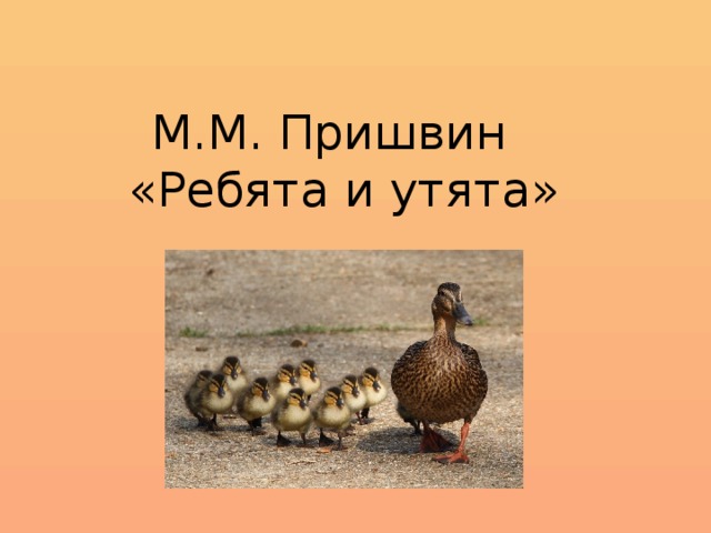М.М. Пришвин «Ребята и утята»