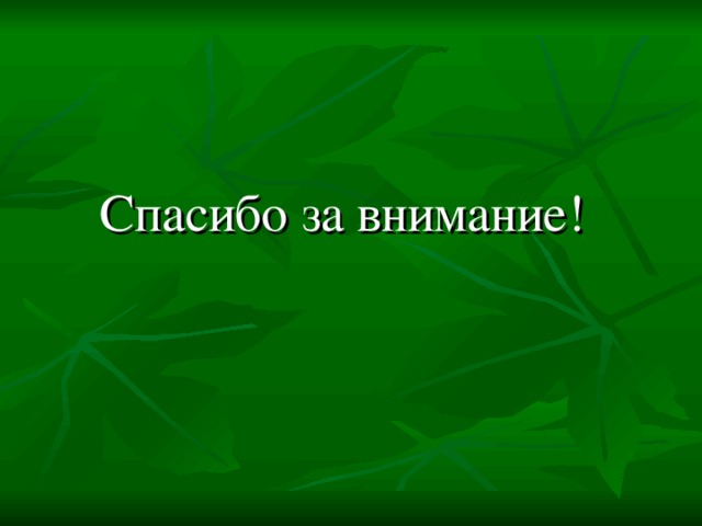 Спасибо за внимание!