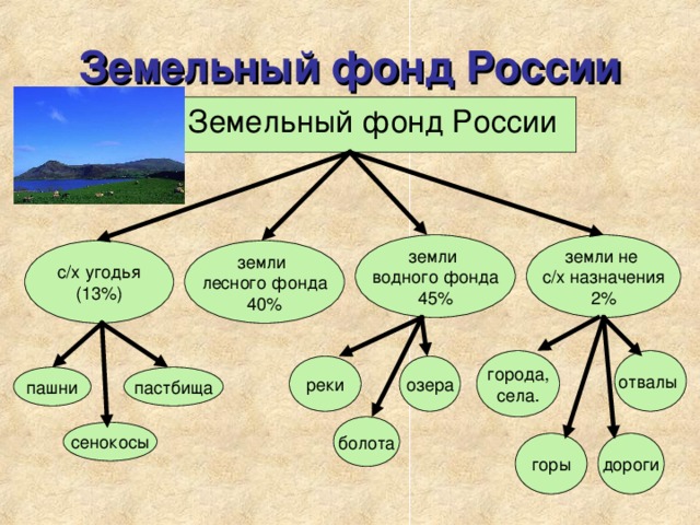 Земельный фонд России  Земельный фонд России земли не с/х назначения 2% земли водного фонда 45% с/х угодья (13%) земли лесного фонда 40% отвалы  города, села. реки озера пастбища пашни болота сенокосы горы дороги