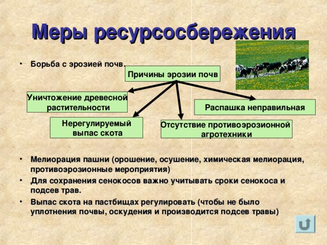 Мелиорации борьба с эрозией. Мероприятия по борьбе с эрозией почвы.