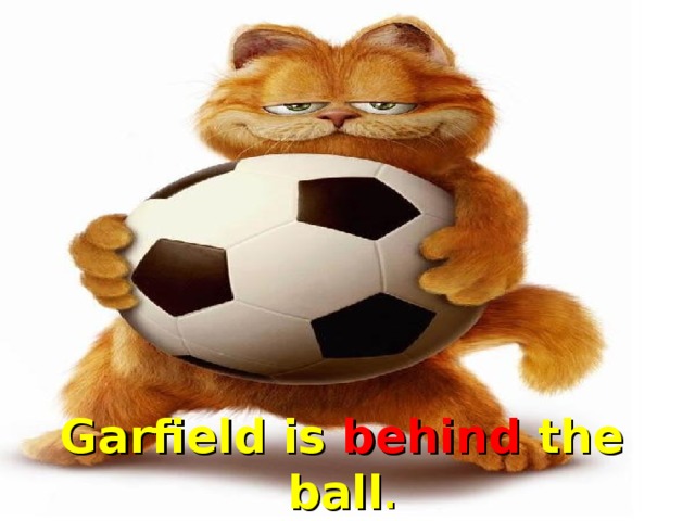 Garfield is behind the ball .