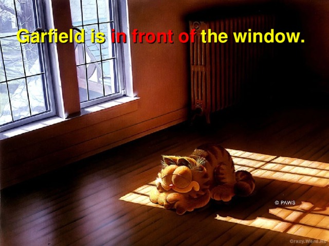 Garfield is in front of the window.