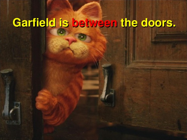 Garfield is between the doors.