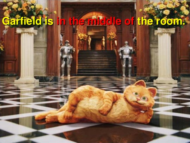 Garfield is in the middle of the room.
