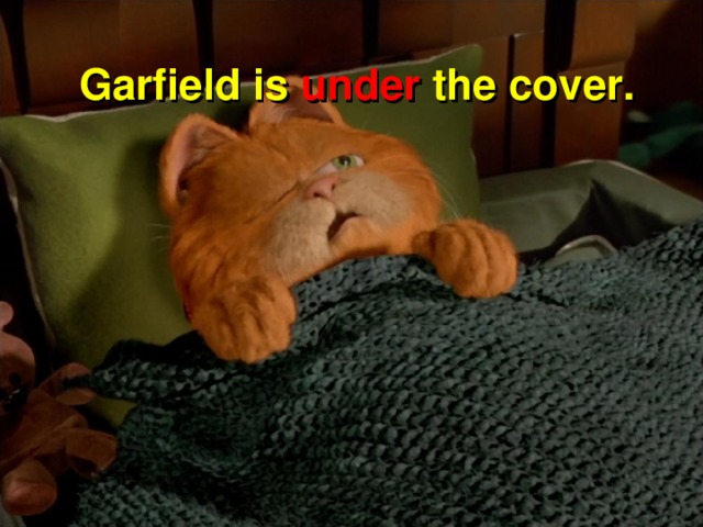 Garfield is under the cover.