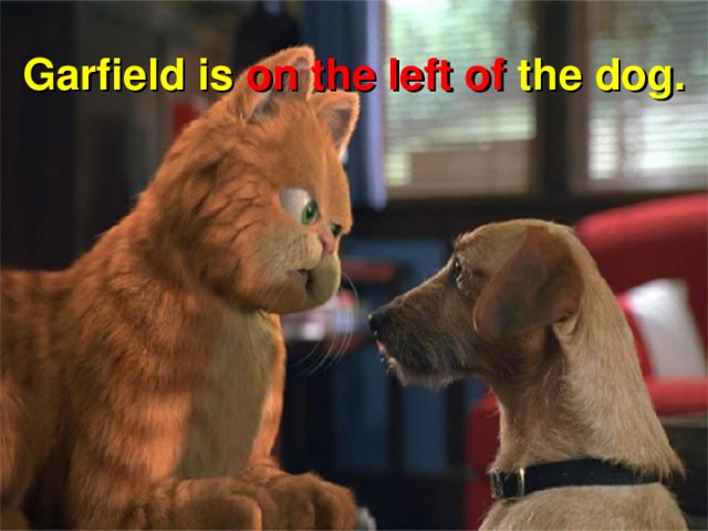 Garfield is on the left of the dog.