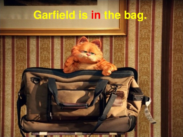 Garfield is in the bag.