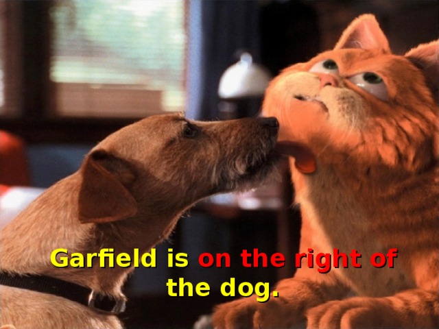 Garfield is on the right of the dog.