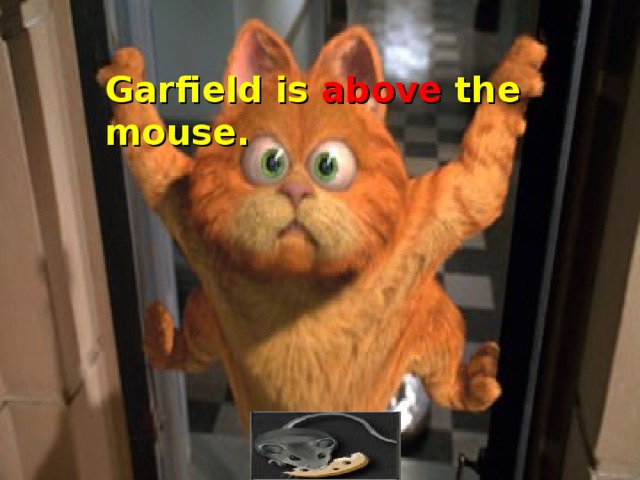 Garfield is above the mouse.