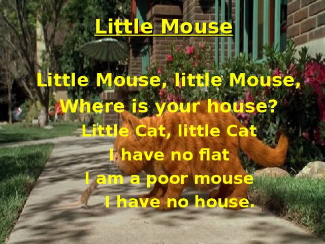 Little Mouse   Little Mouse, little Mouse, Where is your house? Little Cat, little Cat I have no flat I am a poor mouse Little Mouse, little Mouse, Where is your house? Little Cat, little Cat I have no flat I am a poor mouse I have no house.