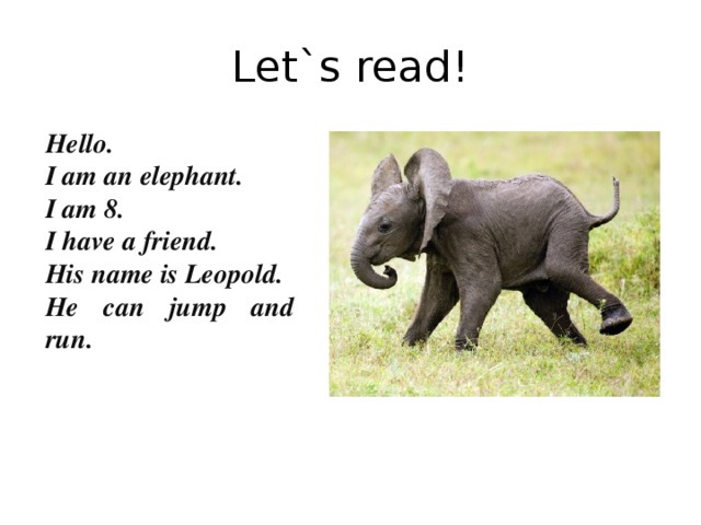 Let`s read! Hello. I am an elephant. I am 8. I have a friend. His name is Leopold. He can jump and run.
