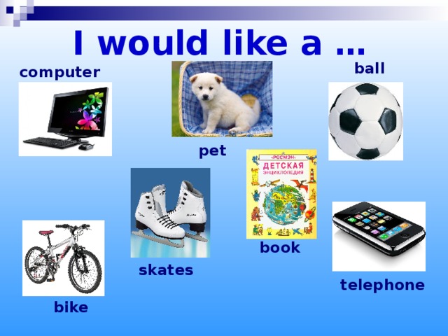 I would like a … ball computer  pet book skates telephone bike