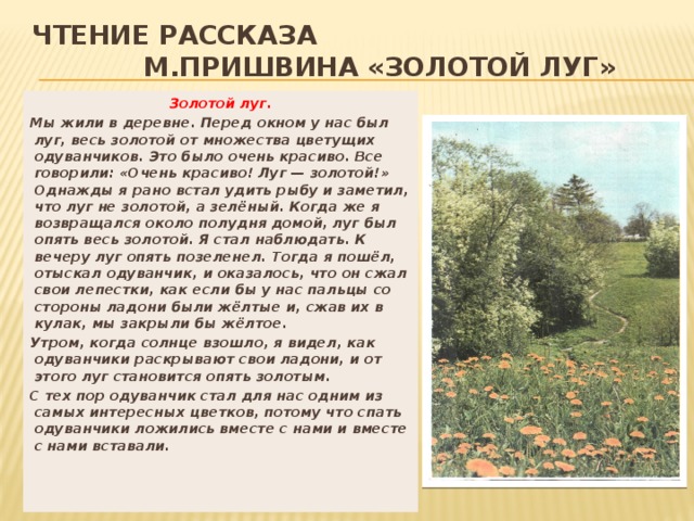 Бывшие описание. Рассказ Михаила Пришвина золотой луг. Рассказ золотой луг пришвин. Рассказ золотой луг Михаил пришвин. Рассказ м Пришвина золотой луг.