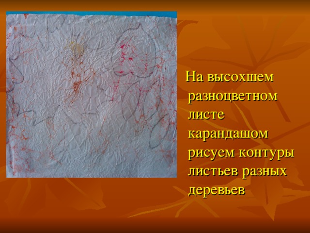 На высохшем разноцветном листе карандашом рисуем контуры листьев разных деревьев