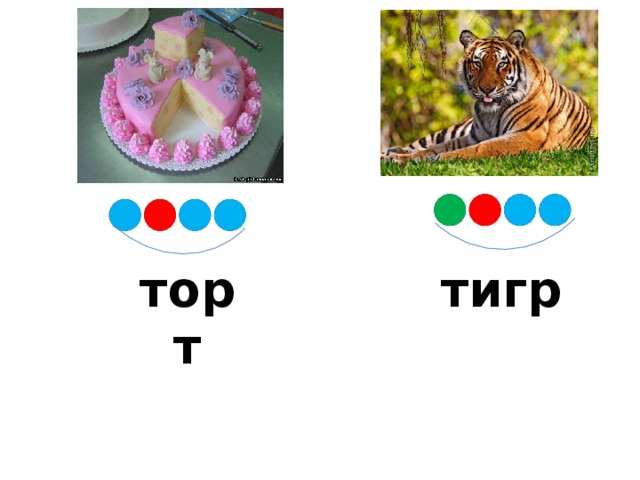 торт тигр