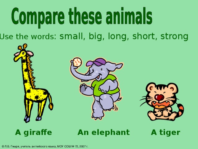 Use the words : small, big, long, short, strong A giraffe An elephant A tiger © Л.Б. Гмыря, учитель английского языка, МОУ СОШ № 72, 2007 г.