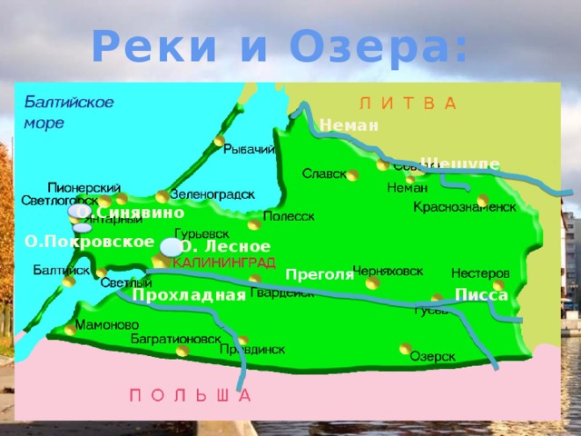 Реки и Озера: Неман Шешупе О.Синявино О.Покровское О. Лесное Преголя Писса Прохладная