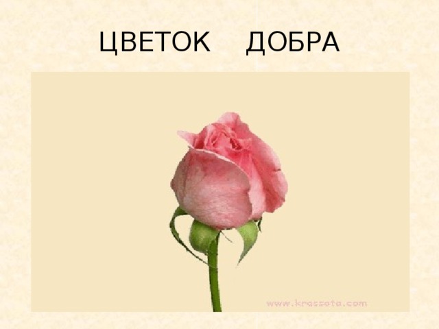 ЦВЕТОК ДОБРА