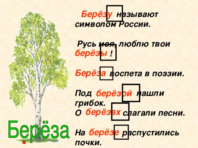 Схема слова березка