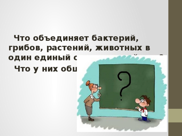 Что объединяет бактерий, грибов, растений, животных в один единый органический мир?  Что у них общего?