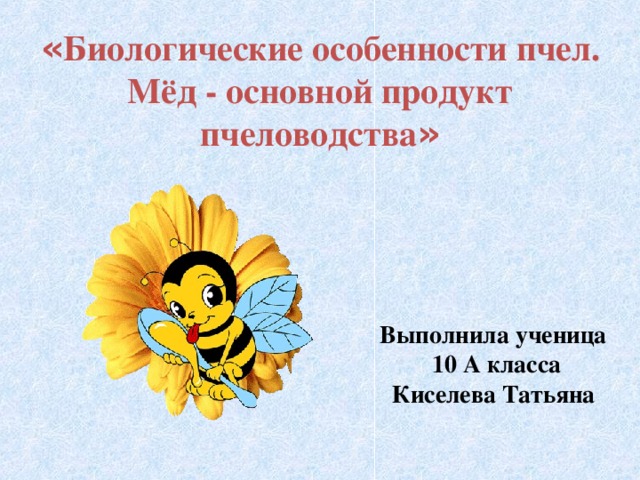 « Биологические особенности пчел. Мёд - основной продукт пчеловодства » Выполнила ученица  10 А класса Киселева Татьяна