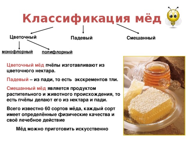 Классификация мёда Цветочный Падевый Смешанный монофлорный полифлорный Цветочный мёд  пчёлы изготавливают из цветочного нектара. Падевый – из пади, то есть экскрементов тли. Смешанный мёд является продуктом растительного и животного происхождения, то есть пчёлы делают его из нектара и пади. Всего известно 60 сортов мёда, каждый сорт имеет определённые физические качества и своё лечебное действие  Мёд можно приготовить искусственно