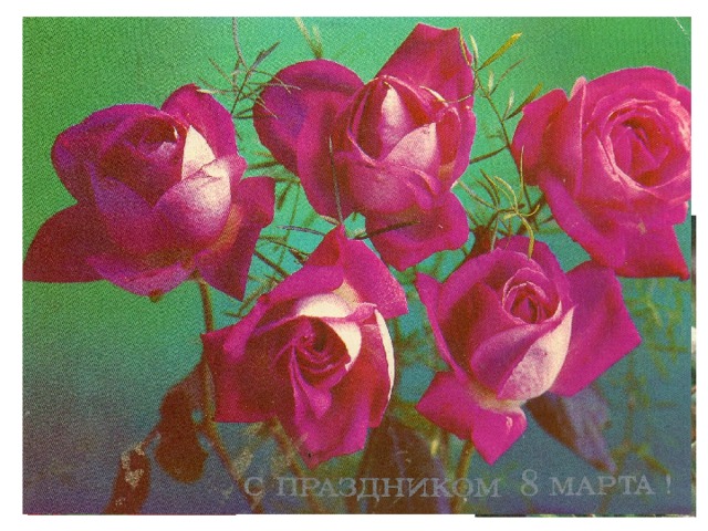 На многих праздничных открытках присутствует роза. У розы очень много цветов: от белого до фиолетового, а оттенков ещё больше.