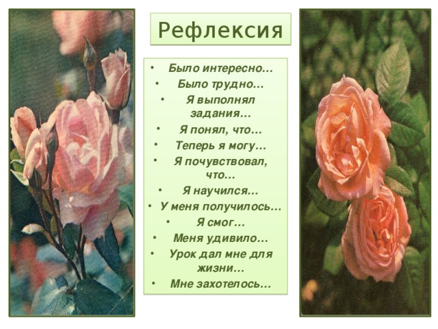 Рефлексия