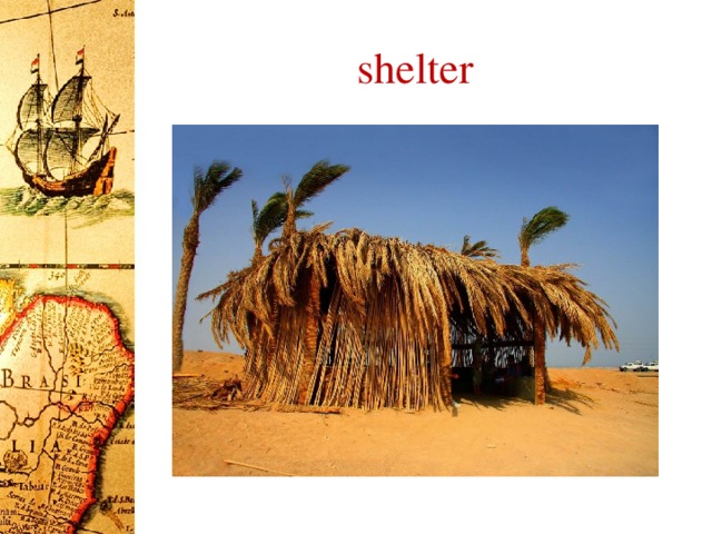 shelter