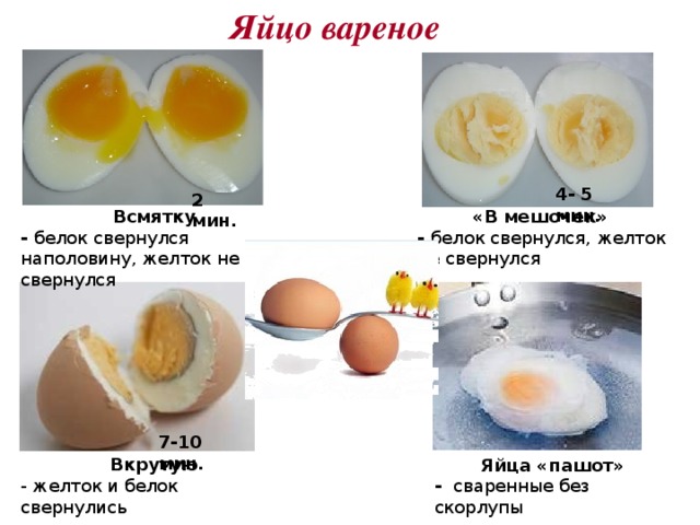 Яйцо вареное 4- 5 мин. 2 мин. Всмятку «В мешочек» - белок свернулся наполовину, желток не свернулся - белок свернулся, желток не свернулся 7-10 мин. Вкрутую - желток и белок свернулись Яйца «пашот» - сваренные без скорлупы