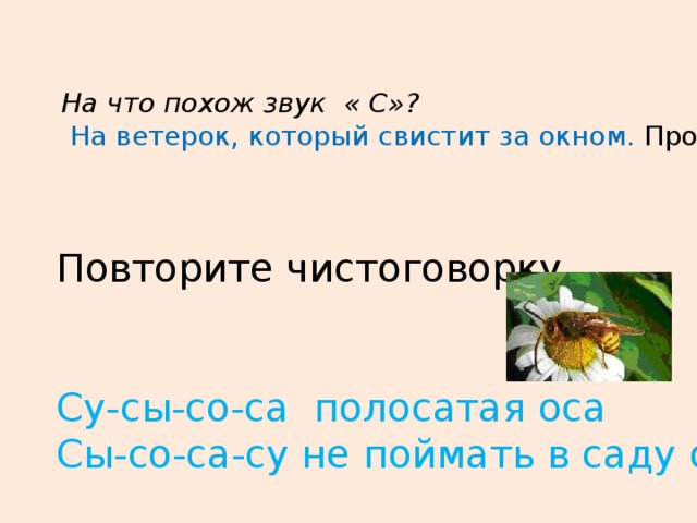 На что похож звук « С»?  На ветерок, который свистит за окном. Произнесите. Повторите чистоговорку Су-сы-со-са полосатая оса Сы-со-са-су не поймать в саду осу.