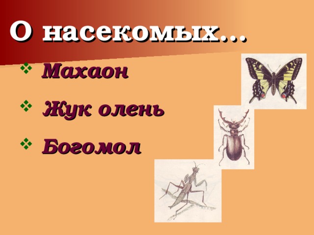 Насекомые 3 класс