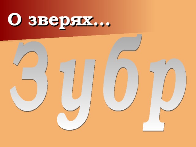 О зверях…