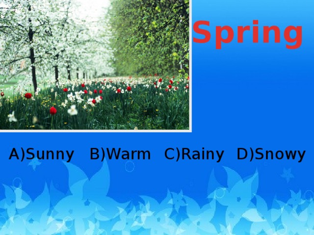 Spring A)Sunny B)Warm D)Snowy C)Rainy