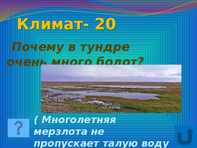 Почему в тундре много болот и озер