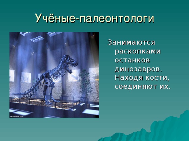 Занимаются раскопками останков динозавров. Находя кости, соединяют их.