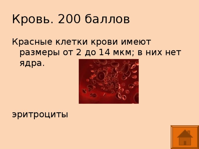 Кровь. 200 баллов Красные клетки крови имеют размеры от 2 до 14 мкм; в них нет ядра. эритроциты
